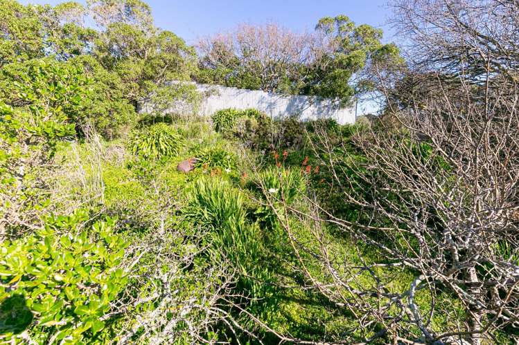 55 Kainui Road Hataitai_27