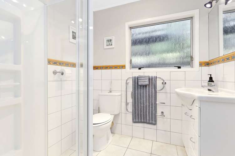 49 Daffodil Street Titirangi_12