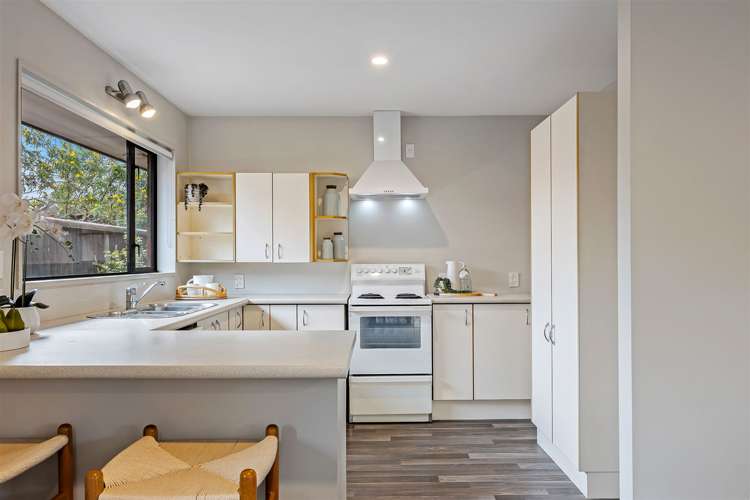 7b Earl Street Hillsborough_6