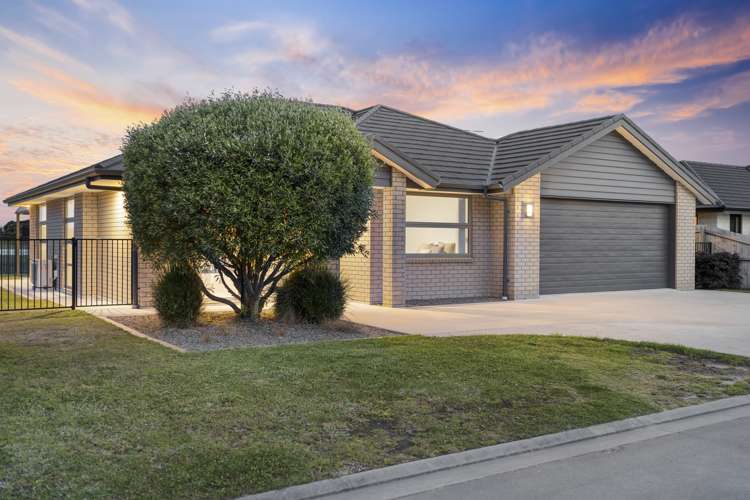 1 Muriel Way Papamoa_1