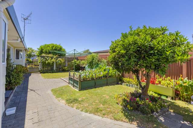 31a Elbourne Street Taradale_4