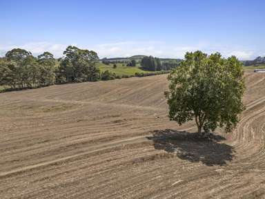 1542 Morrinsville-Walton Road_2