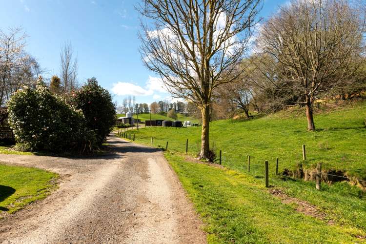 145 Totara Road Ngakuru_12