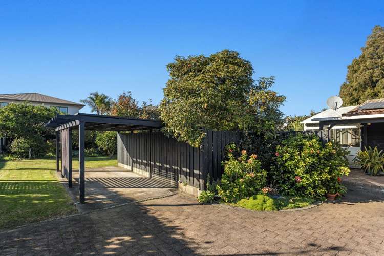 17a Beach Street Whakatane_6
