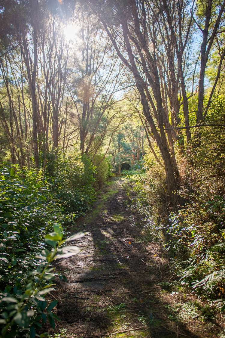 649 Riverside Road Matokitoki_12