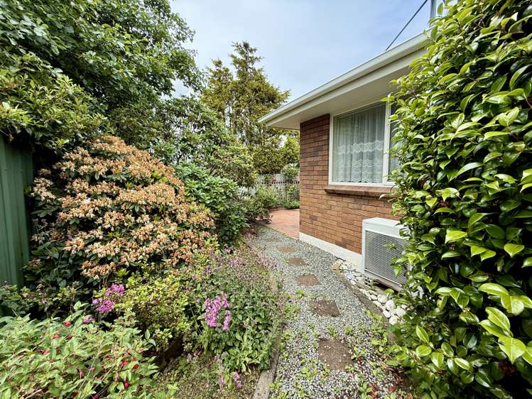 64 Maitland Street Strathern_22