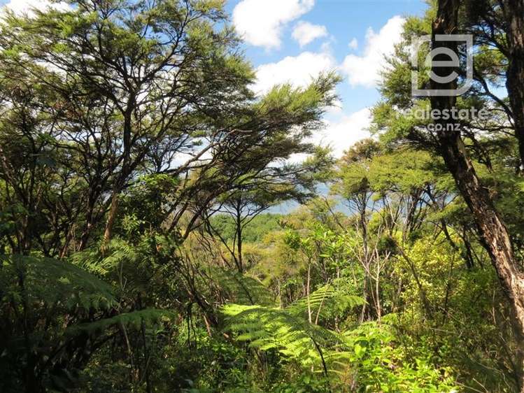 492 Tuateawa Road Tuateawa_7