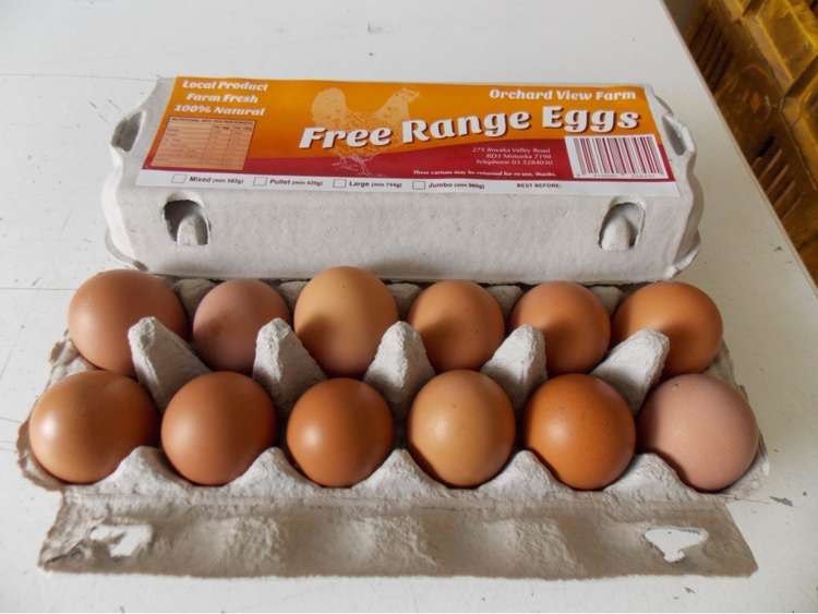 275 Riwaka Valley Road Motueka_28