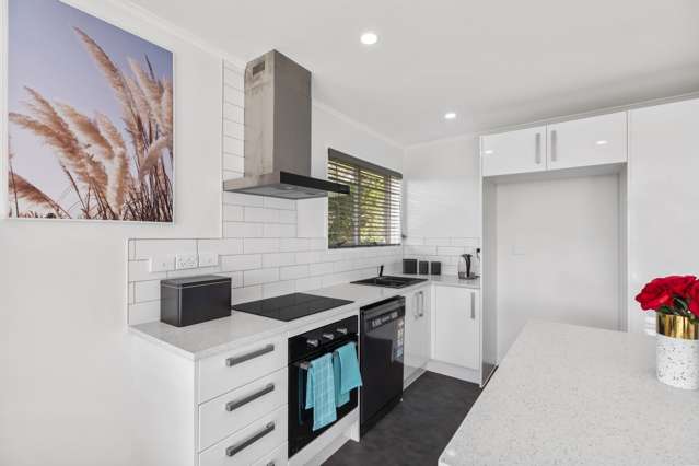 1/2 Palm Court Drive Glen Eden_2