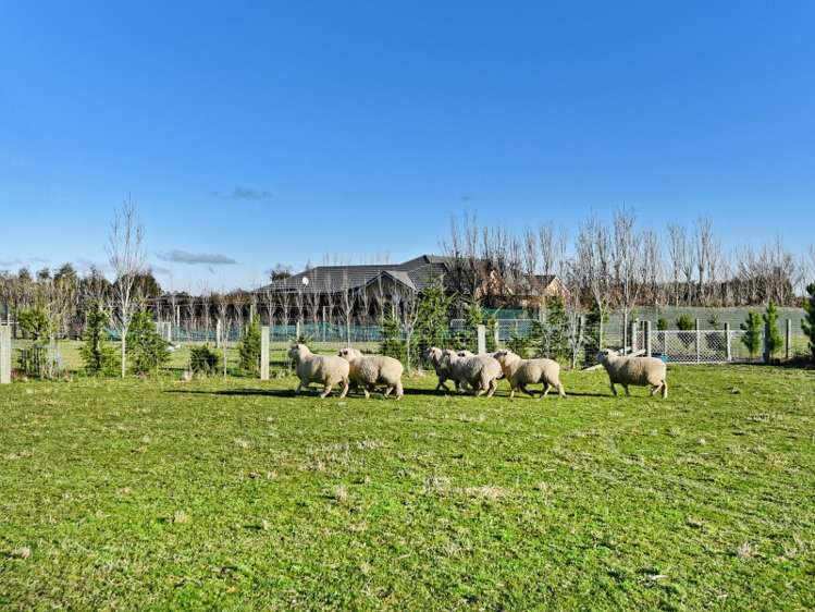 13b Mulholland Drive Darfield_18