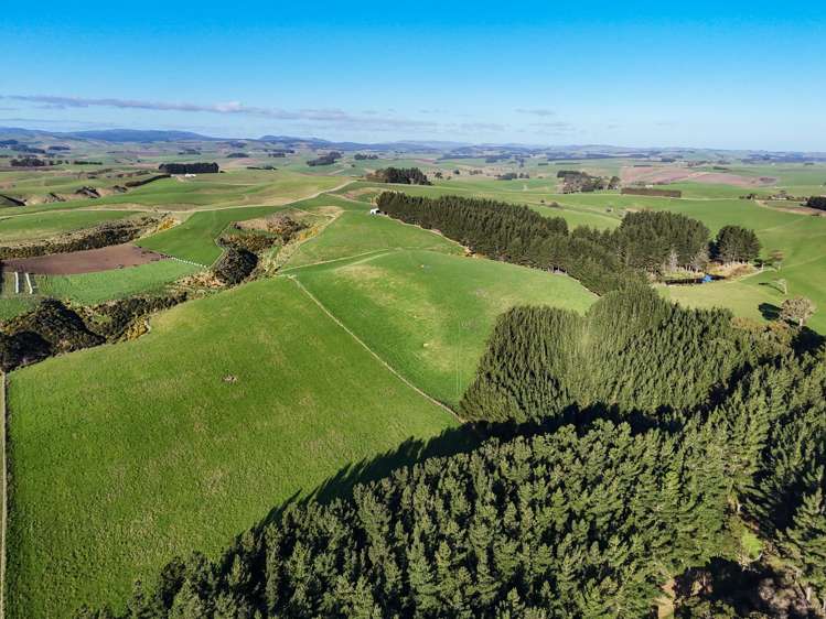 92 Carnie Road Mataura Island_12