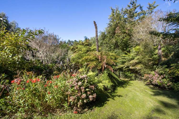 136C Bradford Street Waihi_7