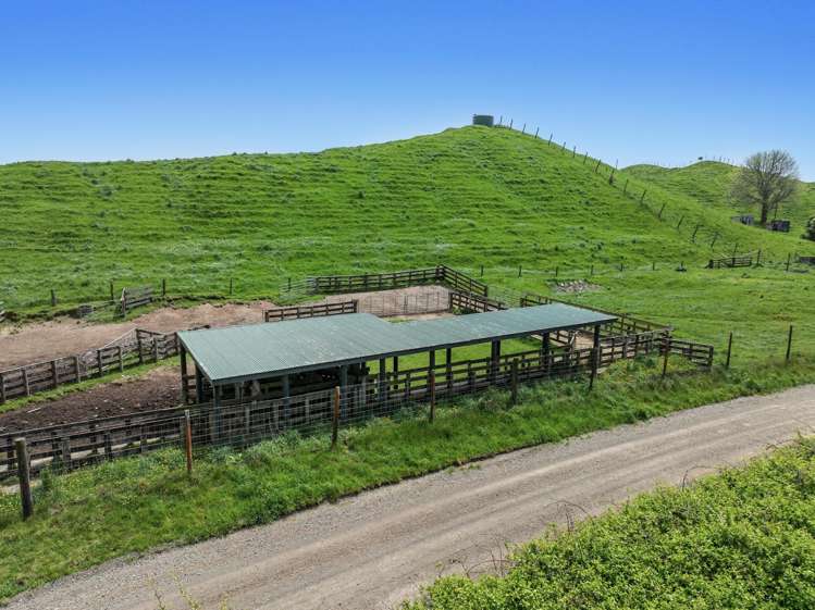 103 Rendall Road Rotoma_2