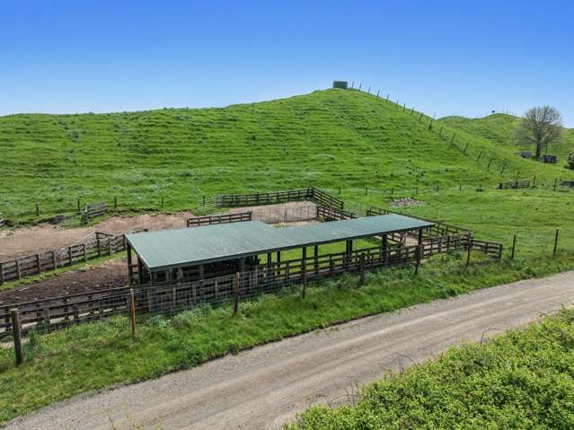 103 Rendall Road Rotoma_2