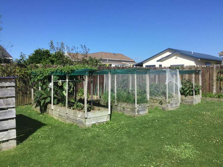 17 Western Street Matamata_12