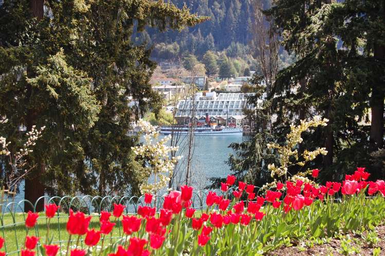 20 Park Street Queenstown_9