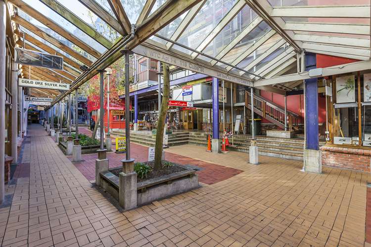 226/6 Left Bank Te Aro_16