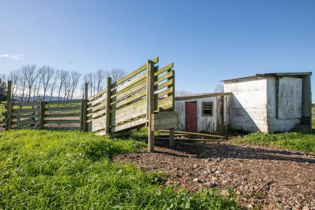 649 Wani Road Netherton_4