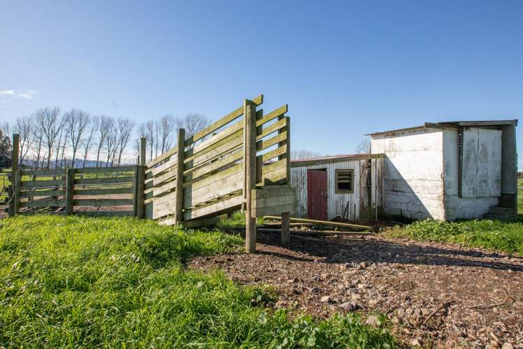 649 Wani Road Netherton_4