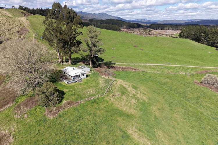 Lot 3/283 Minginui Road Galatea_3