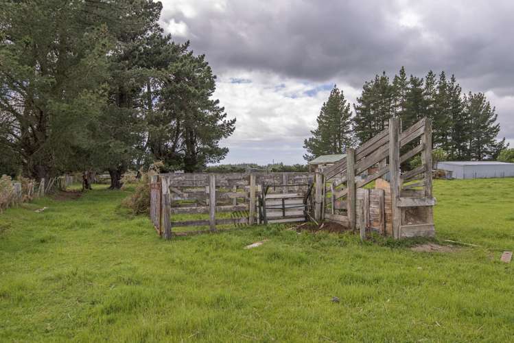 561 Johns Road Fernside_22