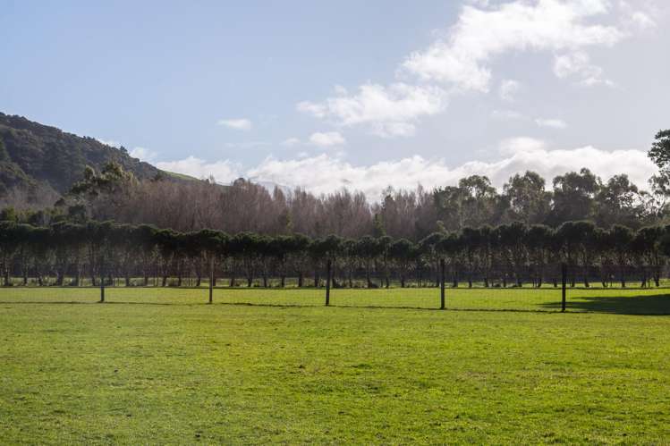 707 Norfolk Road Carterton_20