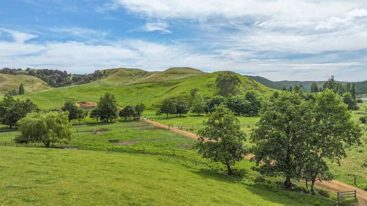 880 Kopuku Road Maramarua Forest_9