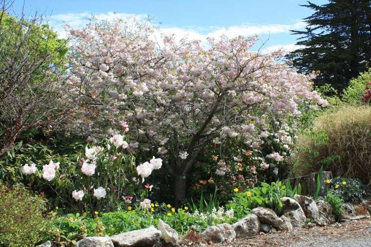 248 Airedale Road Weston_11