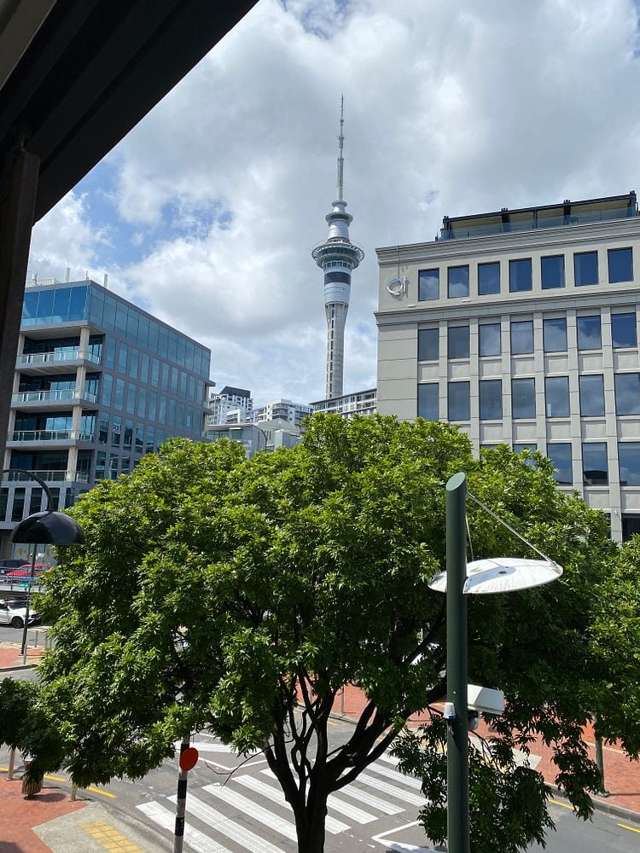 1P/20 Pakenham Street East Auckland Central_3