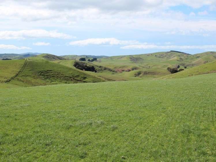 93 Bird Road Central Hawkes Bay Country_11