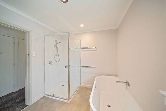 360 Carrington Street Upper Vogeltown_4