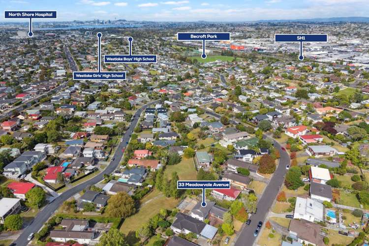 33 Meadowvale Avenue Forrest Hill_19