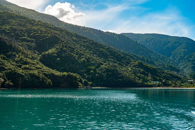Endeavour Inlet Furneaux_7