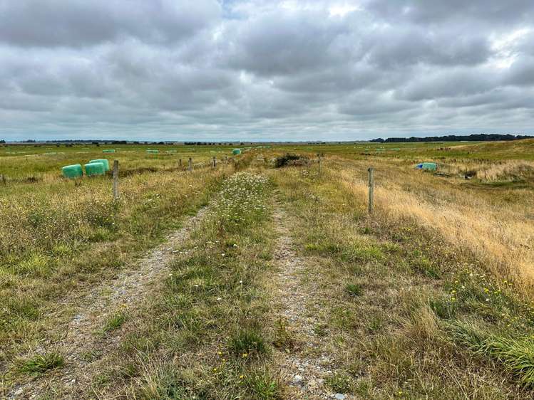 1025 Waimatuku Bush Road Taramoa_8