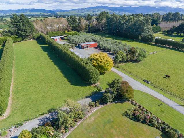 209 Upper Manaia Road Upper Plain_3