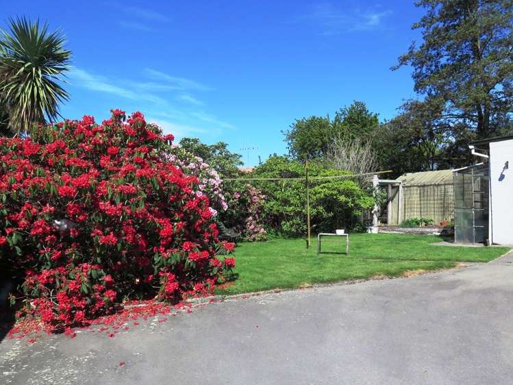141a Selwyn Street Waimataitai_16