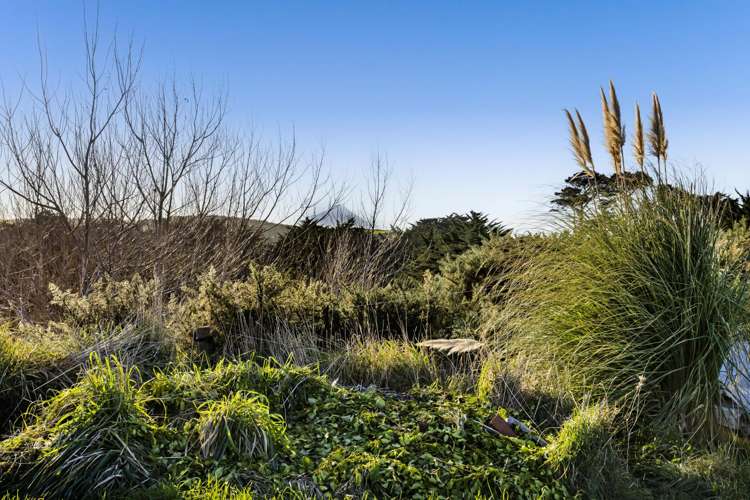 54 Livingston Road Tokaora_5