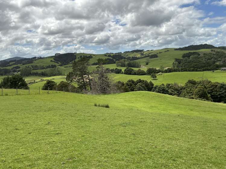 Lot 2/DP385487 Poyner Road Tahekeroa_15