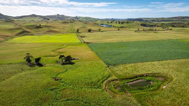 721 Atua Road Elsthorpe_4