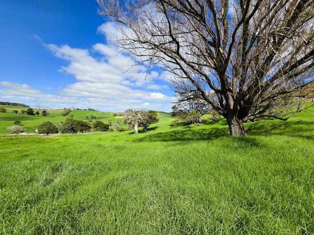 Arapohue Lifestyle Opportunity With Stunning Views