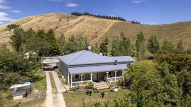 Te Punga, 278 Mangamahoe Central Road_1