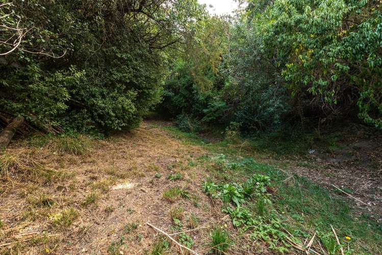 6 Plumwood Lane Cashmere_15