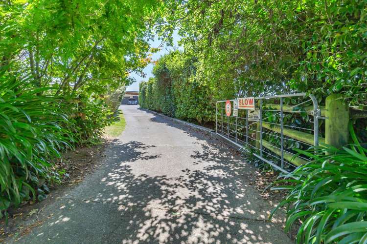 229 Koputaroa Road Koputaroa_22