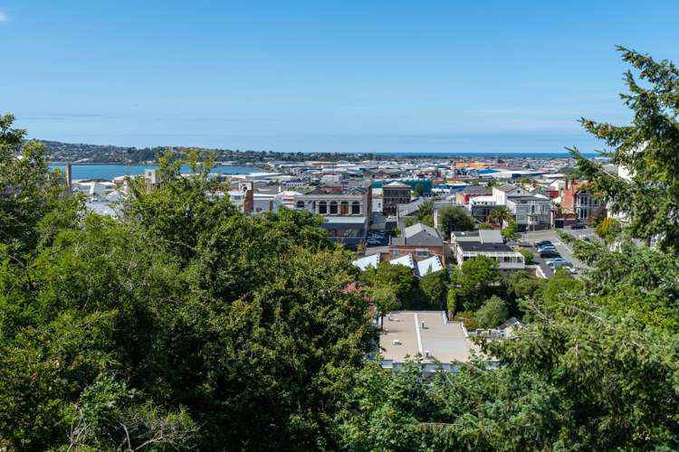 27 Canongate Dunedin Central_5