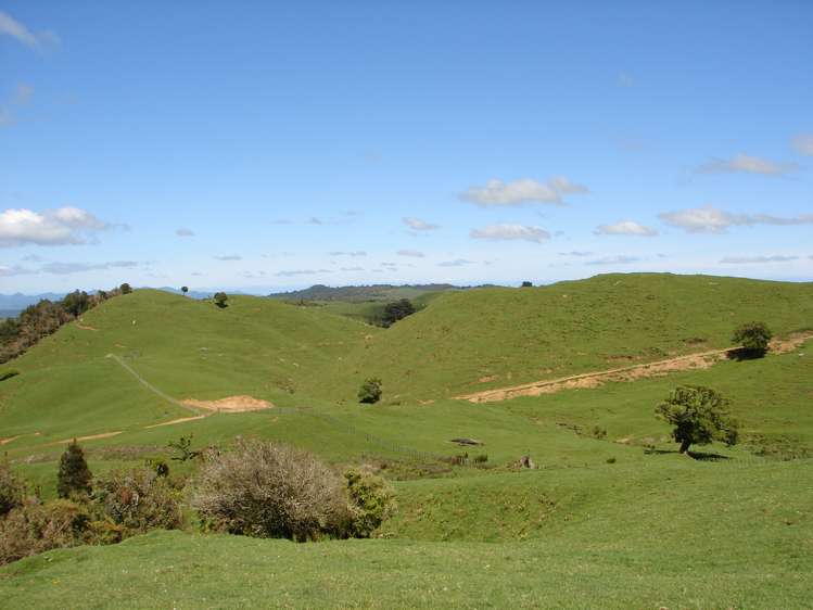 Mahoe Road Waitomo_10