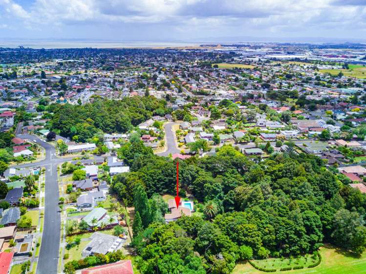 49 Grande Vue Road Hillpark_18