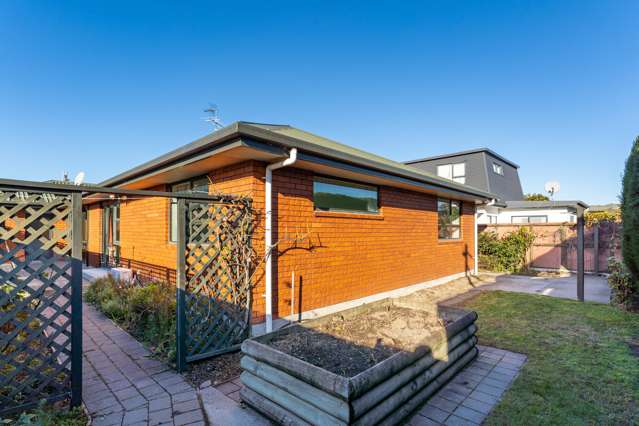 9e Francis Street Blenheim Central_2