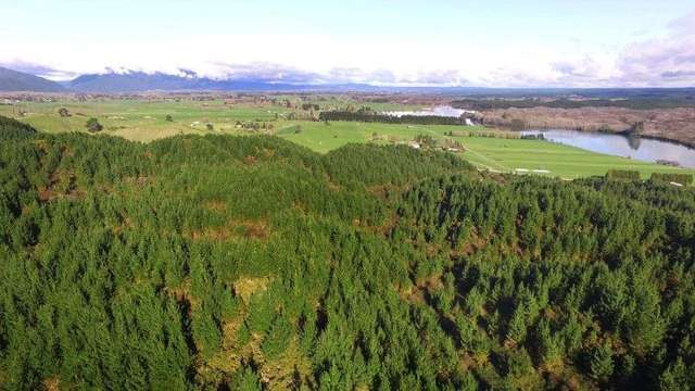 4 Black Road Murupara Surrounds_1