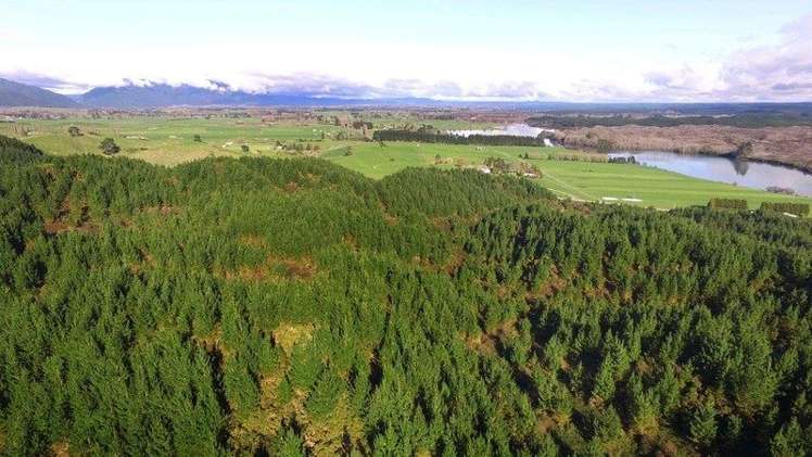 4 Black Road Murupara Surrounds_1