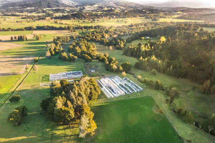 3763b State Highway 12 Taheke_17